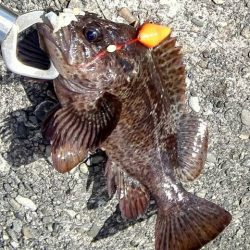 スーパーライトゲーム